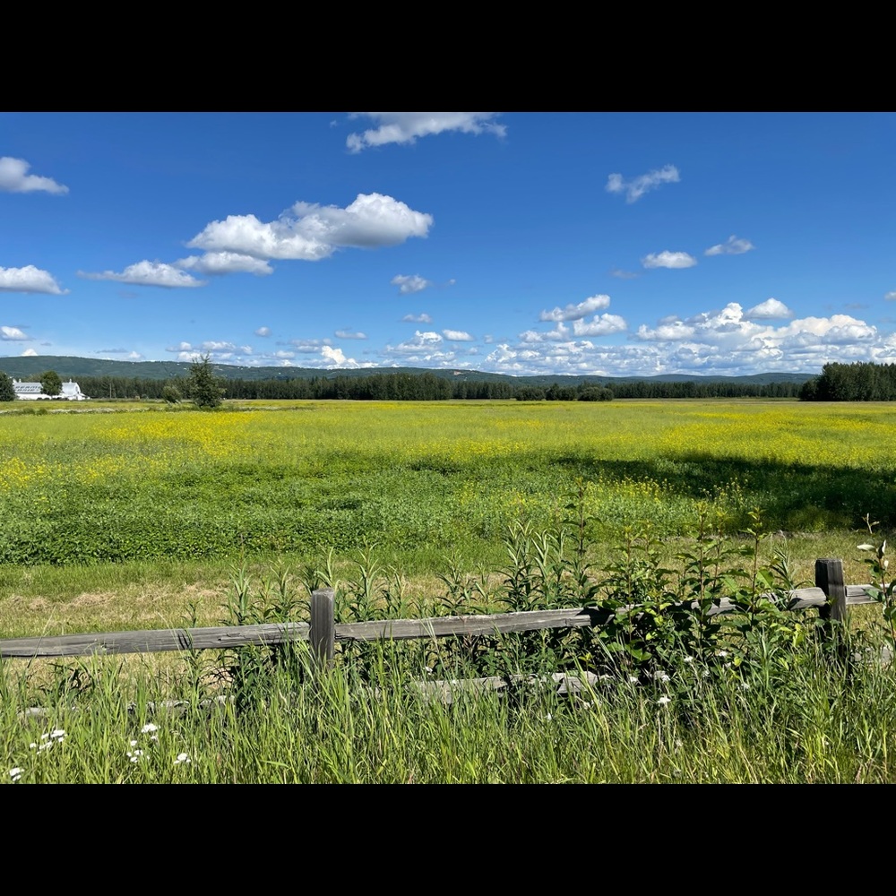 Meet your Posher, Caitlyn